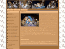 Tablet Screenshot of engelsebulldoggen.intropagina.nl